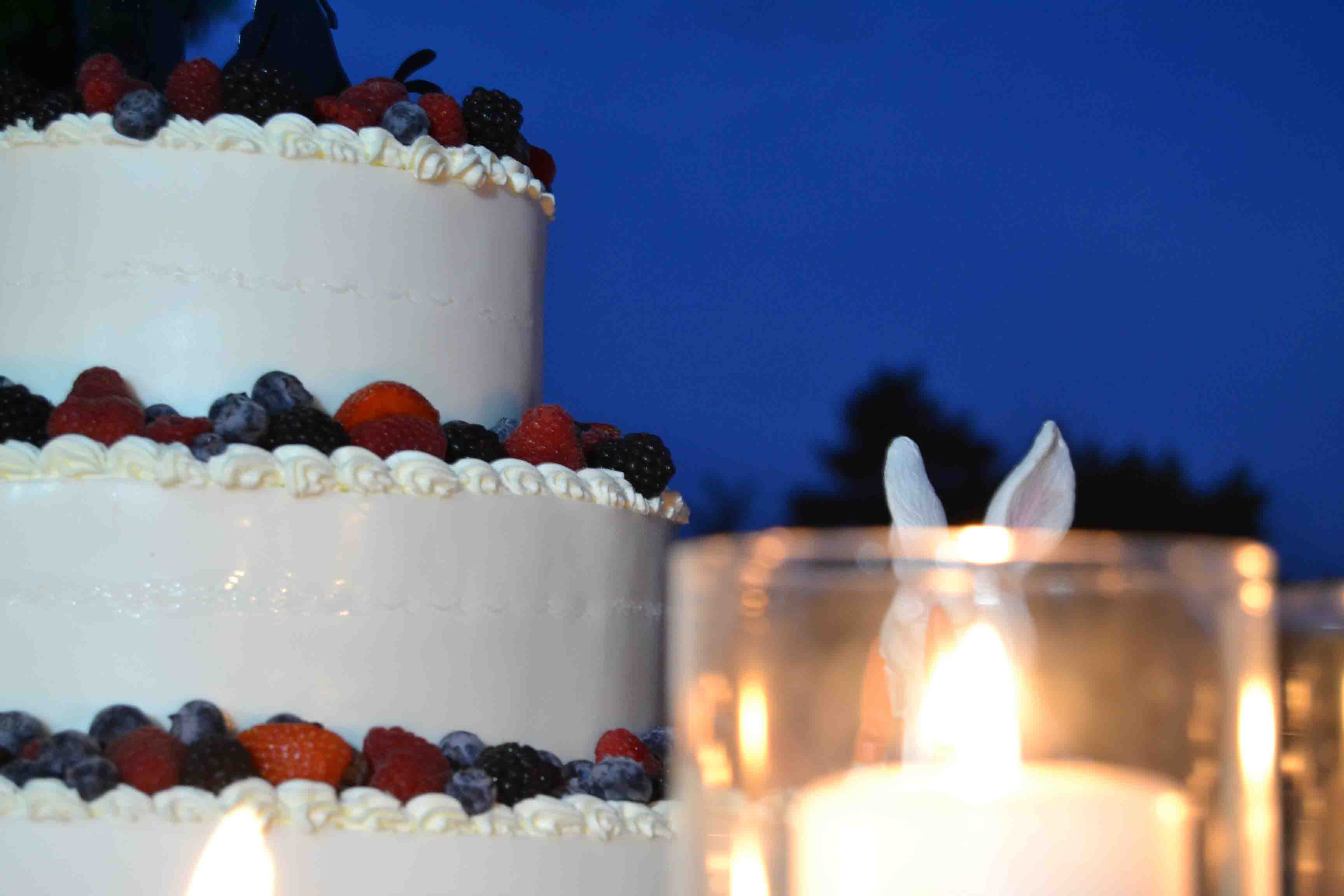 Torte da matrimonio vegan e senza glutine